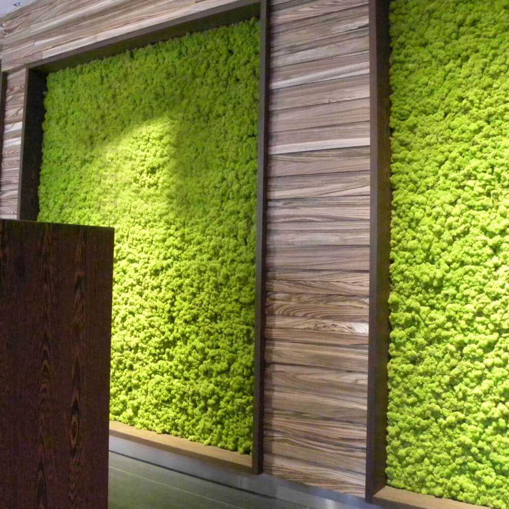Arte de musgo de pared, Panales de madera, Jardín vertical, Musgo