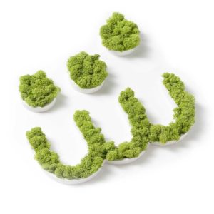 Logo vegetal de PVC blanco y musgo
