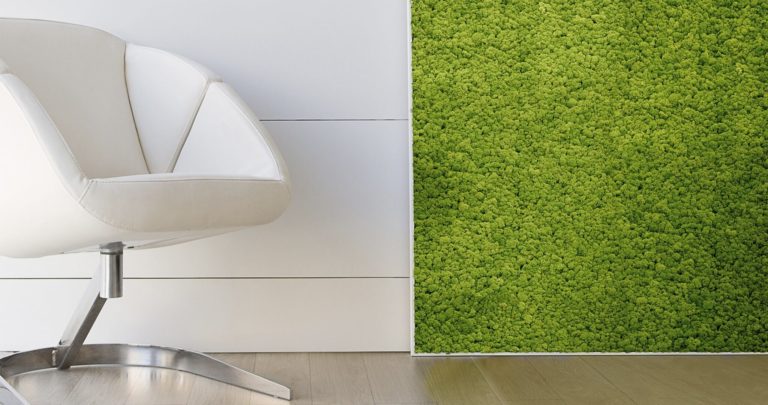cuadros de creatividad vegetal