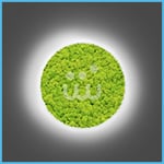 Jardines verticales preservados - Retroiluminado - Si