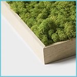 Cuadros verticales de plantas - Enmarcado - Madera