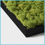 Cuadros verticales de plantas - Enmarcado - Negro