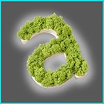 Letras de musgo y madera natural - Zona iluminada - Trasera