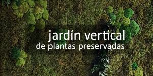 Jardín vertical de plantas preservadas